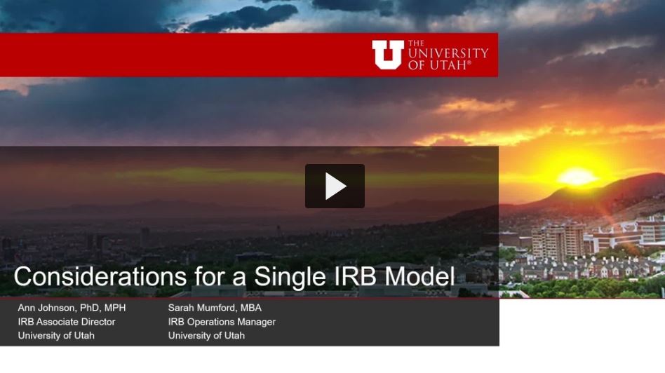 Consideration for a Single IRB Model